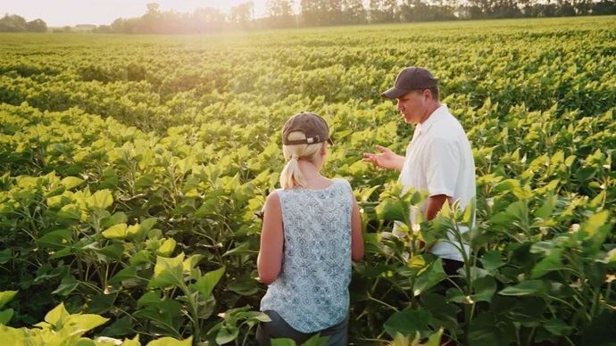 fiches_agriculteur_agricultrice_champs