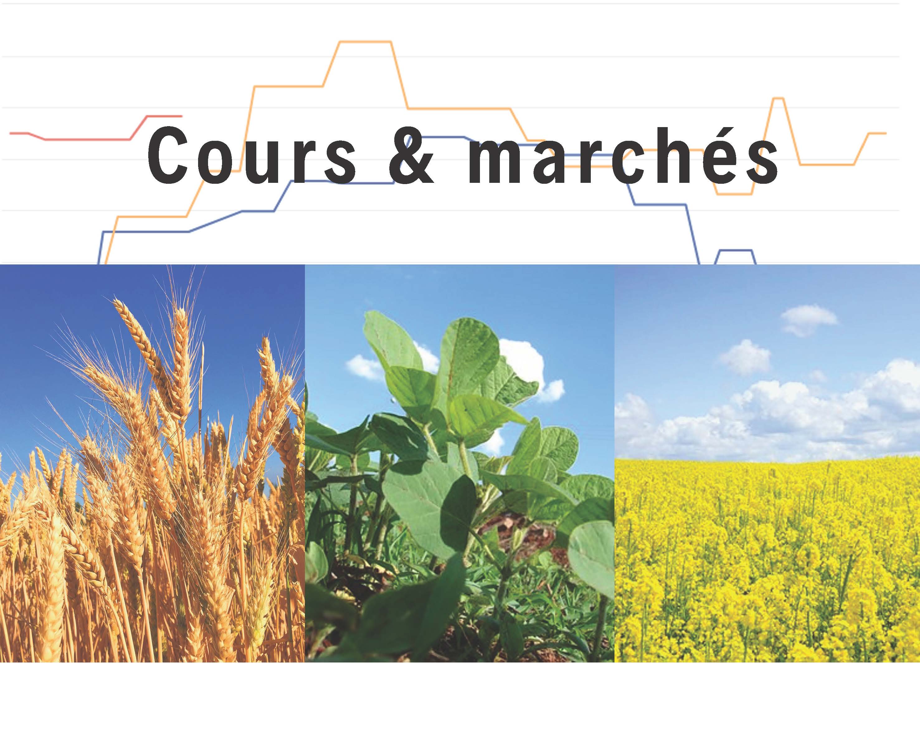 brassière ouverture devant