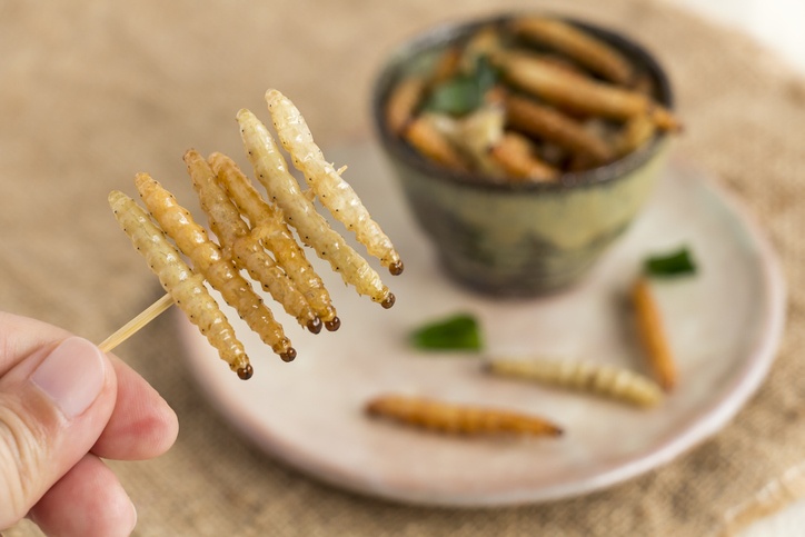 Food Insects: Woman's hand holding Bamboo worm Caterpillar insect fried crispy for eating as food items in plate with vegetable on sackcloth, it is good source of protein edible. Entomophagy concept.