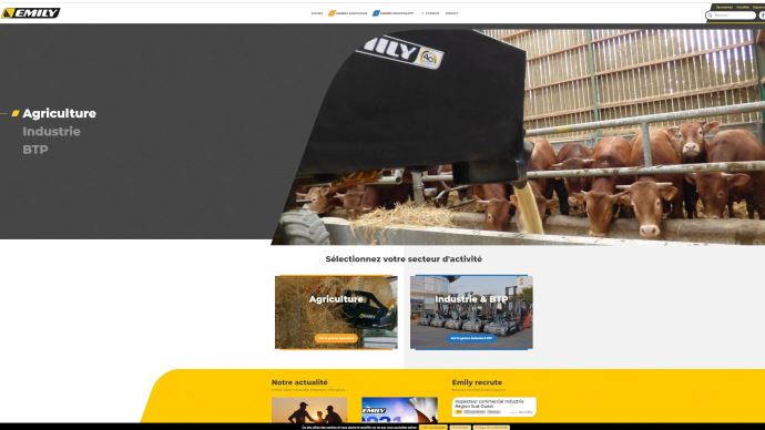 fiches_Site-emily-refondu