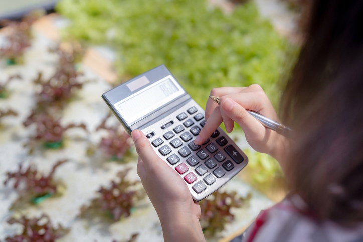 Woman farmer use Calculator checking stock and price hydroponics vegetables in market greenhouse, Organic farmer working technology payment and shopping, Farmers small business healthy food nutrition