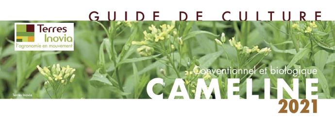 fiches_Guide_de_culture_cameline