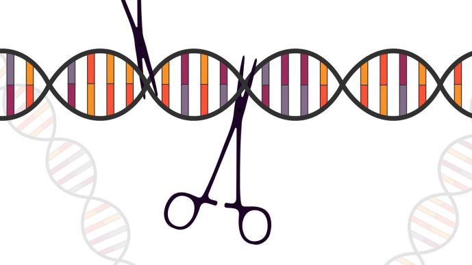 fiches_crisprCas9