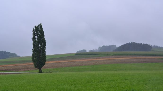 fiches_fields-5461163_1920