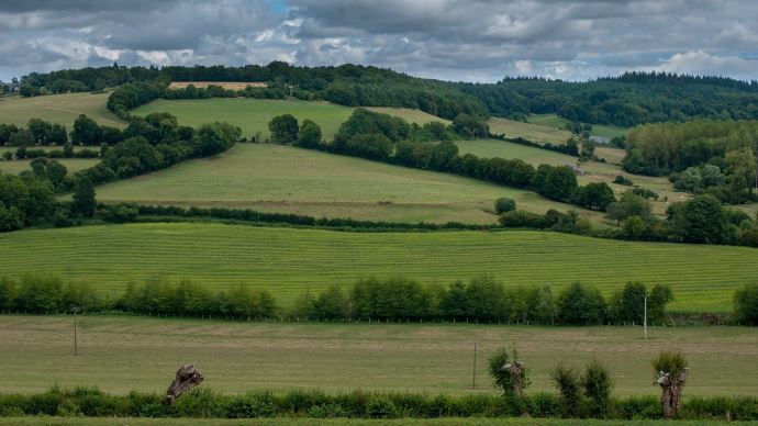 fiches_landscape_haie