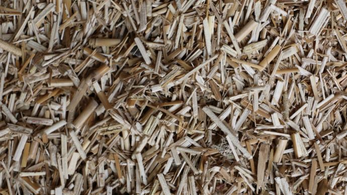 fiches_miscanthus