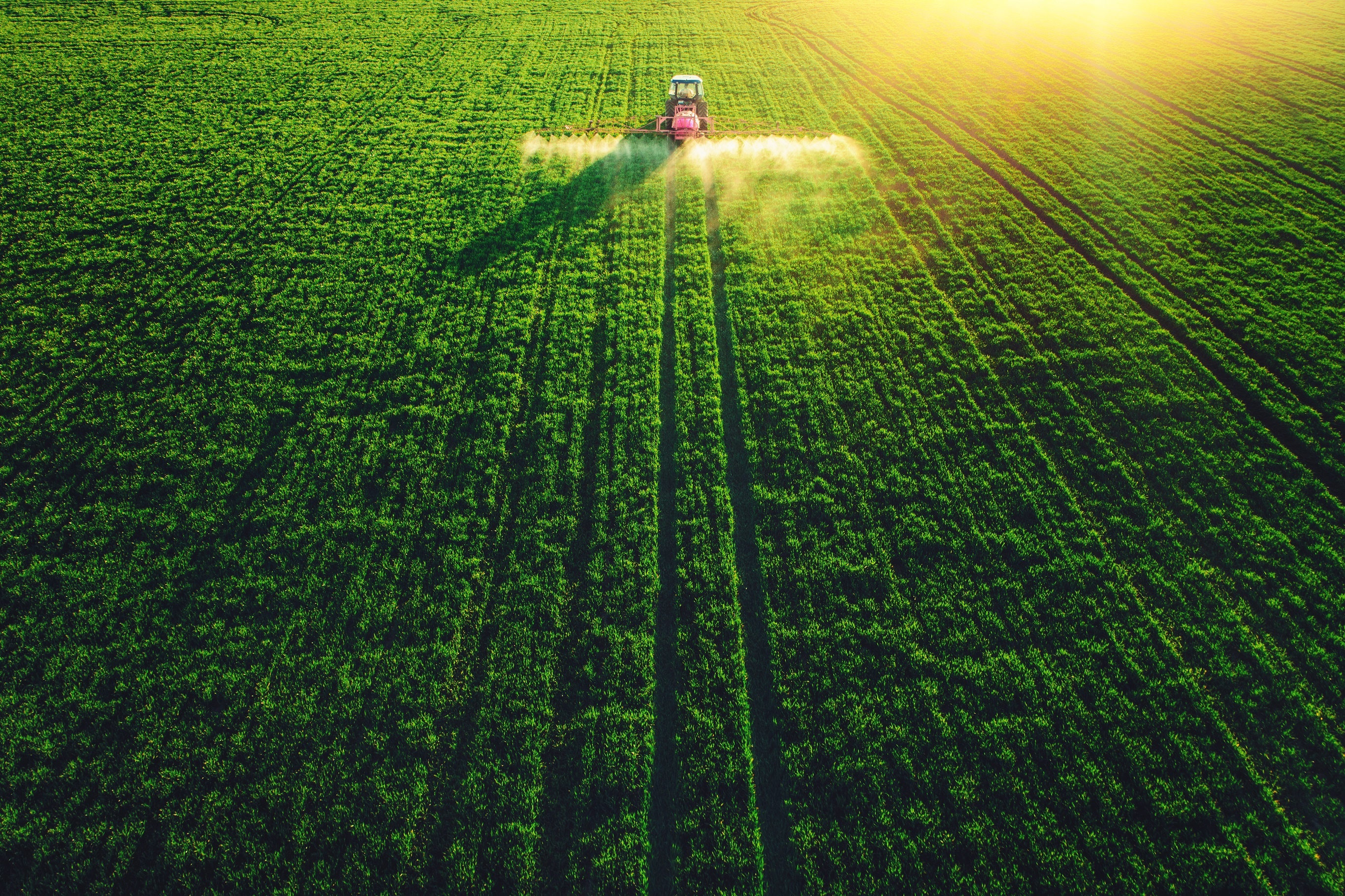 Aerial view of farming tractor plowing and spraying on big green field.