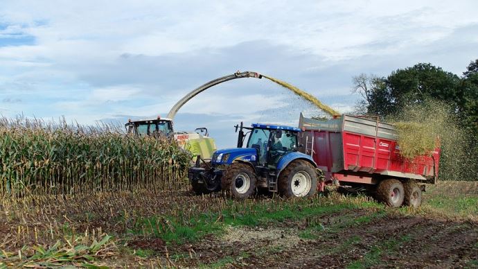 fiches_ensilage-mais