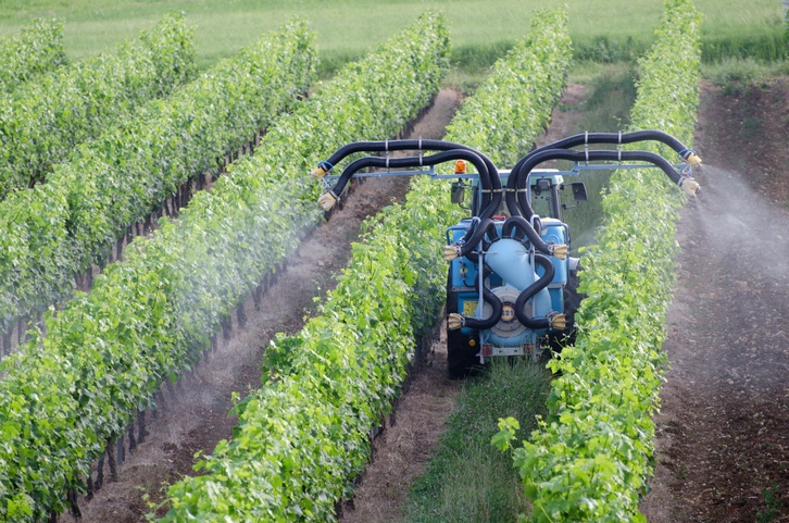 Spraying of grapevines