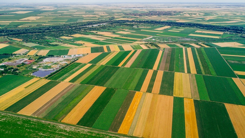 Bio-based industry and agriculture