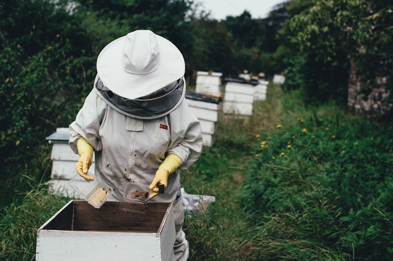 apiary-g1c1b9c725_1280
