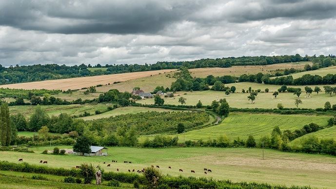 fiches_transmission-foncier-agricole-vente-ou-location