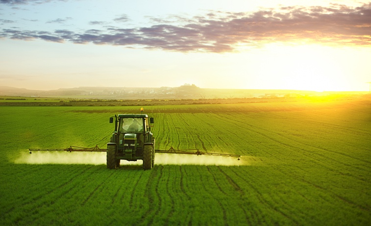 Tractor working in field of wheat