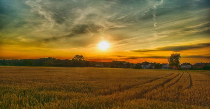 fiches_paysage_ete
