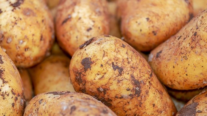 fiches_potatoes-gd921cc092_1920