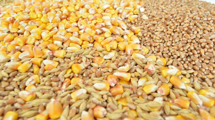 fiches_grains-g0e29d2eb3_1920-1