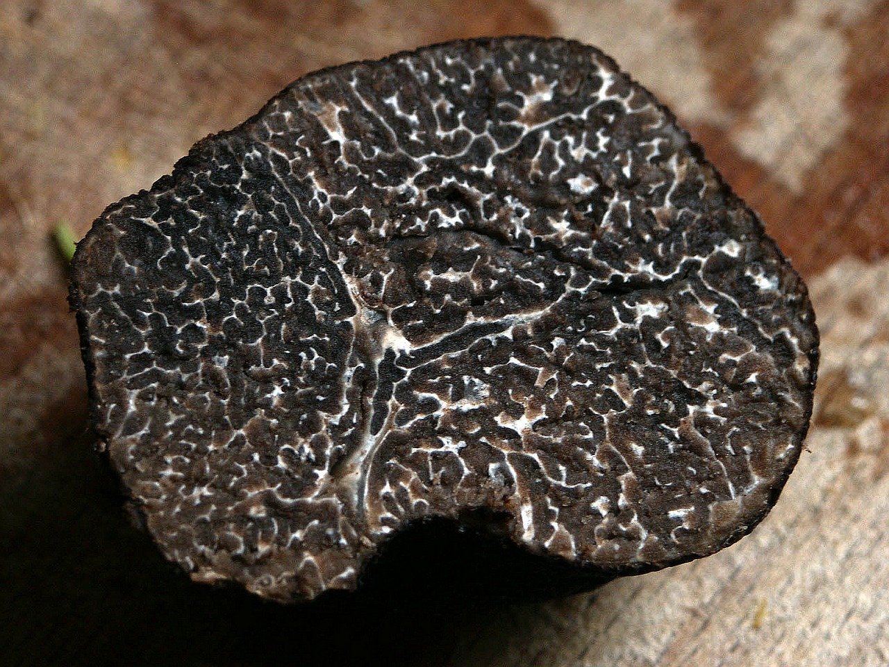 winter-truffle-gd74fd90aa_1280