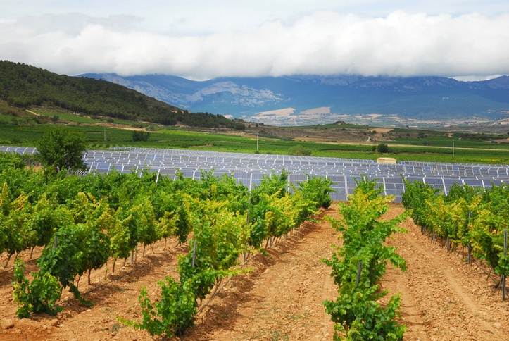 Vineyards and Energy