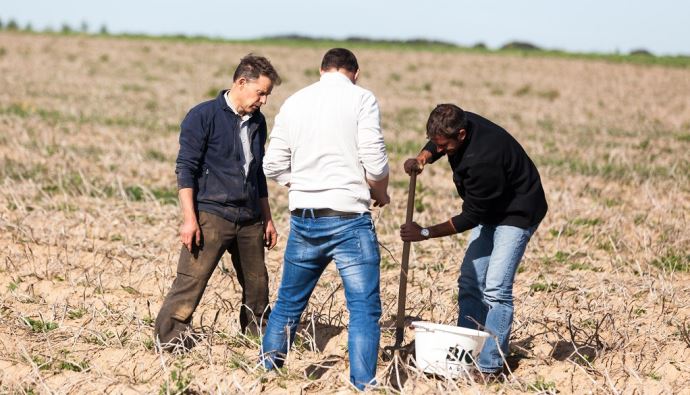 fiches_Hommes_dans_champ_de_pommes_de_terre