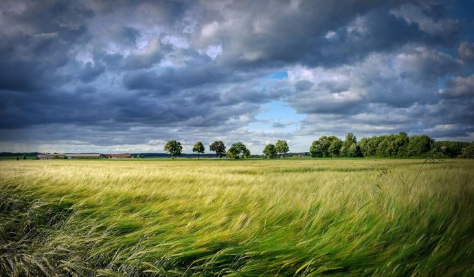 fiches_Paysage