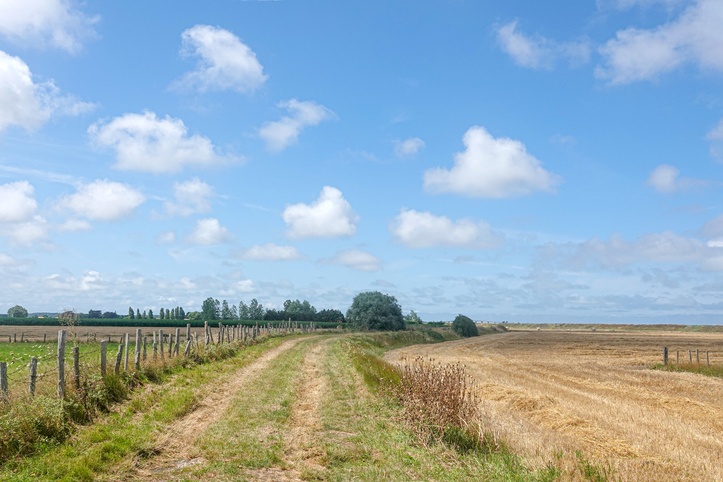 Typical landscape of a field with mowed grass and a path.Vendee France.