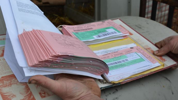 fiches_cartes-vertes