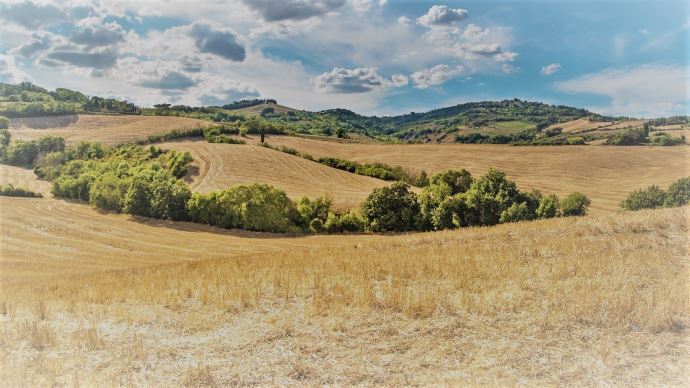 fiches_hills-2165759_19201