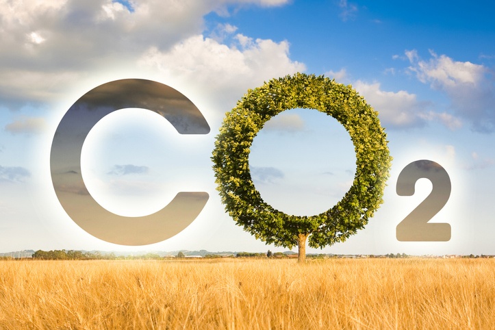 Reduction of the amount of CO2 emissions - concept image with CO2 icon text and tree shape in rural scene