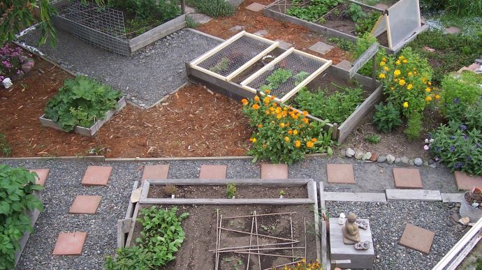 fiches_agricultureUrbaine