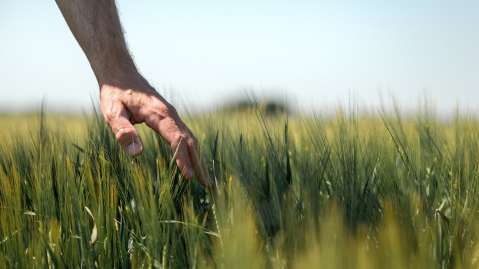 fiches_agriculteur-dans-champ-main-d-oeuvre-agricole-1