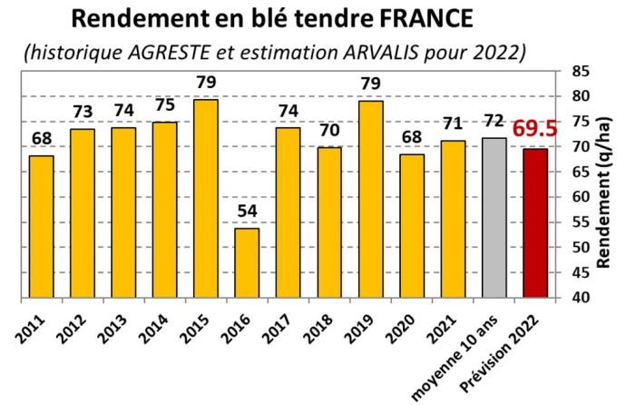 En cultures : du blé tendre, principalement