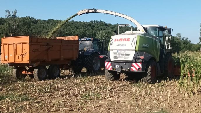 fiches_ensilage-1
