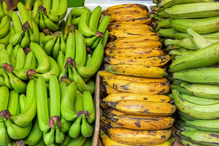Different kinds of bananas