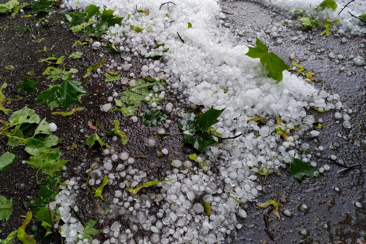 Large chunks of hail on dark asphalt and downed green maple leaves, a weather anomaly on a hot summer day.