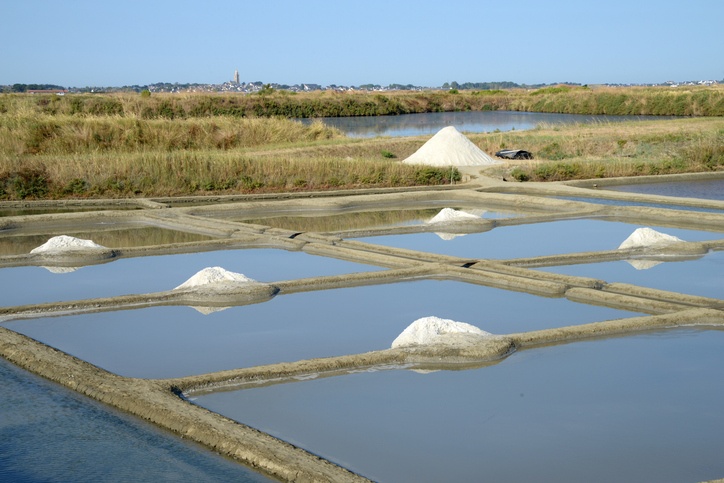 Salt marshes of Guérande