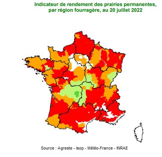 fiches_Carte_herbe