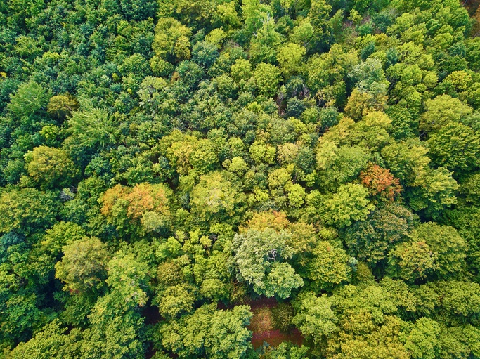 Scenic aerial view of autumn forest in northern France, France