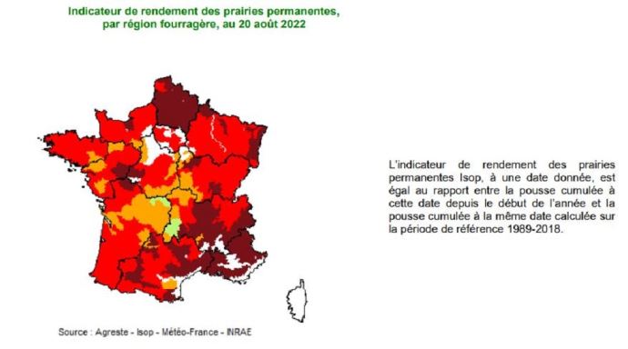 fiches_carte_herbe