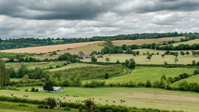 fiches_paysage-haie