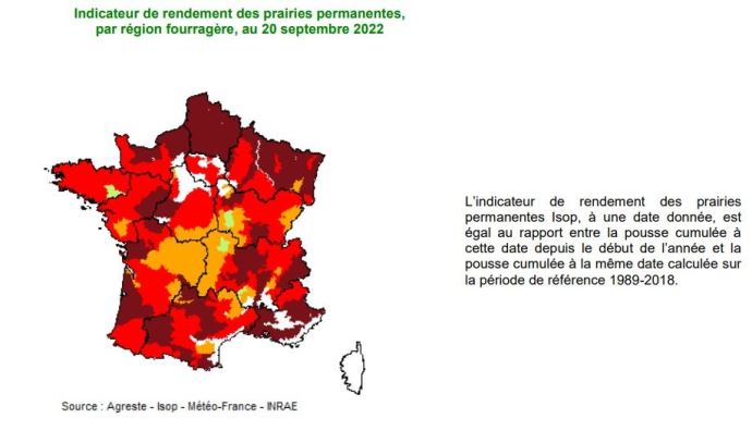 fiches_Carte_pousse_herbe