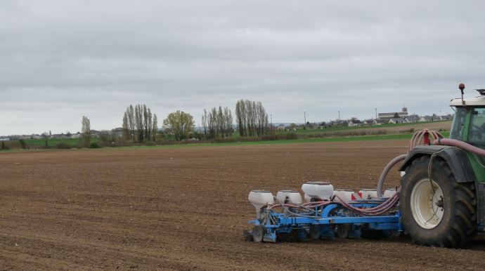 fiches_Semis_de_tournesol