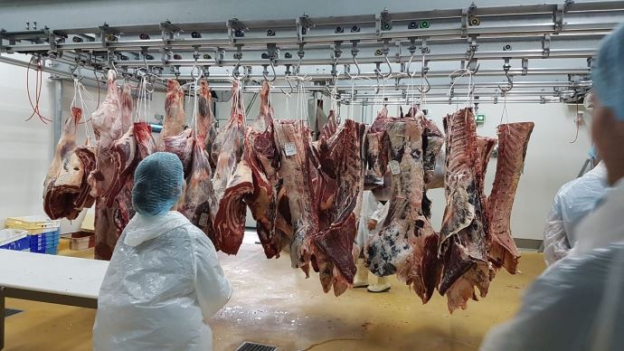 fiches_abattoir