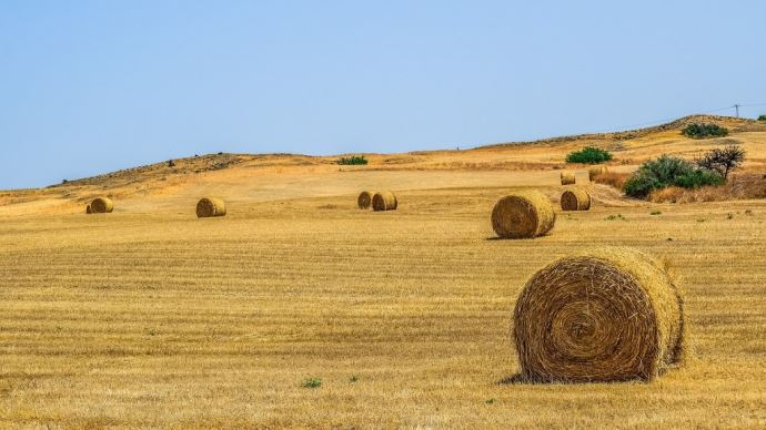 fiches_paysage-agricole-sec