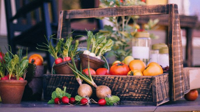 fiches_vegetable-basket-ga95ef7108_1920