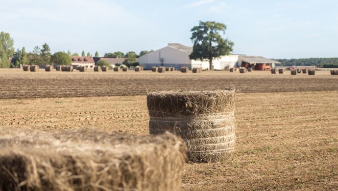 fiches_Lin_fibre_recolte_enroulage_Normandie_Eure_-_Credit_photo___Nadege_PETIT_agri_zoom5