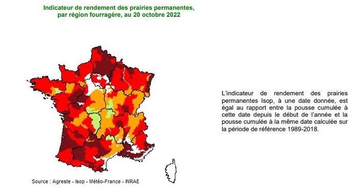 fiches_Pousse_de_lherbe