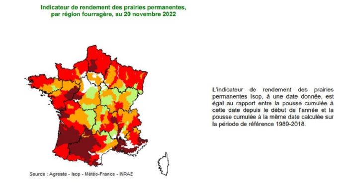 fiches_Pousse_herbe