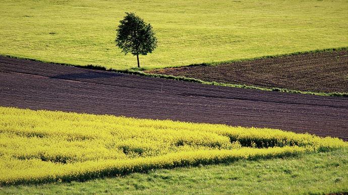 fiches_agriculture-foncier