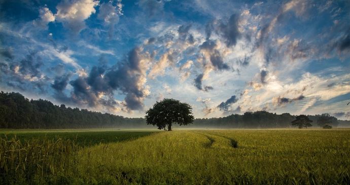 fiches_paysage_agricole