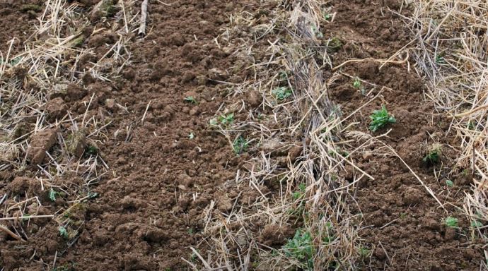 fiches_Strip-till